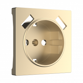 Накладка для USB розетки Werkel W1179511 Шампань глянцевый