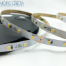 Светодиодная лента Lux SL SMD2835 60LED 4.8W 4000-4500K 24V IP20 Дневная белая Светодиодная лента Lux SL SMD2835 60LED 4.8W 4000-4500K 24V IP20 Дневная белая