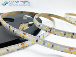 Светодиодная лента Lux SL SMD2835 120LED 9.6W 6000-6500K 24V IP65 Холодная белая в/з