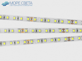 Светодиодная лента SMD2835 96LED 9W 24V IP20 Холодная белая