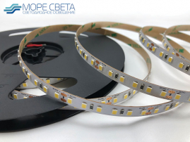 Светодиодная лента Lux SL SMD2835 120LED 9.6W 6000-6500K 24V IP20 Холодная белая