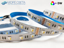 Светодиодная лента SL SMD5050 60LED 19.2W 24V IP20 RGB+NW
