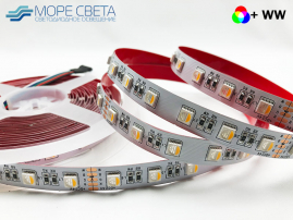 Светодиодная лента SL SMD5050 60LED 19.2W 24V IP20 RGB+WW