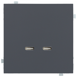 Зарядное устройство USB C/C 60 Вт Базальт Зарядное устройство USB C/C 60 Вт Базальт