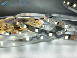 Светодиодная лента S-формы SL SMD2835 60LED 5.2W 12V IP20 Холодная белая