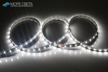 Светодиодная лента Lux SMD3528 60LED 4.8W 12V IP20 Холодная белая
