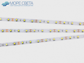 Светодиодная лента Lux SMD3528 60LED 4.8W 12V IP20 Холодная белая