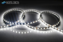 Светодиодная лента Lux LP SMD5050 60LED 14.4W 12V IP20 Холодная белая