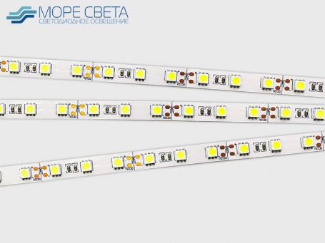 Светодиодная лента Lux LP SMD5050 60LED 14.4W 12V IP20 Холодная белая