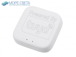 Конвертер Wi-Fi для смарт светильников IZILED 220V IZ220-T2900WH