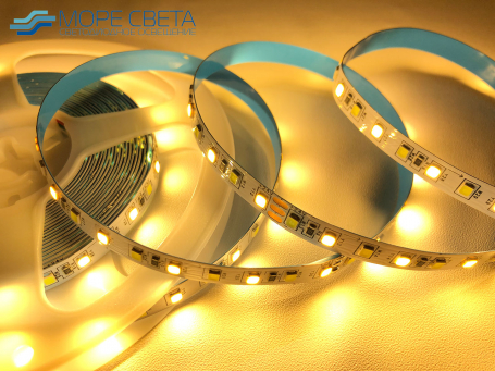 Светодиодная лента SL SMD2835 120LED 12W 24V IP20 CCT