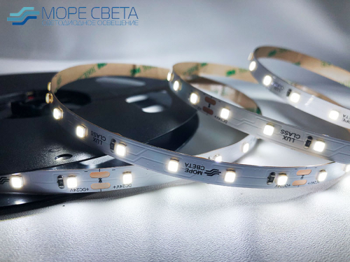Светодиодная лента Lux SL SMD2835 60LED 4.8W 6000-6500K 24V IP20 Холодная белая