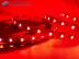 Светодиодная лента Lux SL SMD5050 60LED 19.2W 24V IP20 RGB+WW