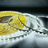 Светодиодная лента SL SMD2835 120LED 12W 24V IP20 дневная белая 5мм Светодиодная лента SL SMD2835 120LED 12W 24V IP20 дневная белая 5мм