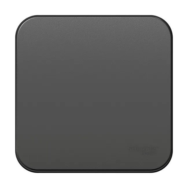 Выключатель 1-кл. ОП Blanca 10А IP20 (сх. 1) 250В с изолир. пластиной антрацит SE Выключатель 1-кл. ОП Blanca 10А IP20 (сх. 1) 250В с изолир. пластиной антрацит SE