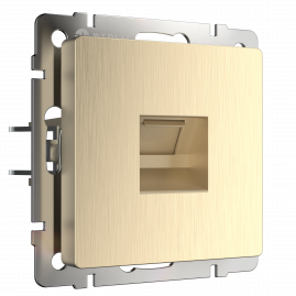 Розетка Ethernet RJ-45 W1181010 Werkel шампань рифленый