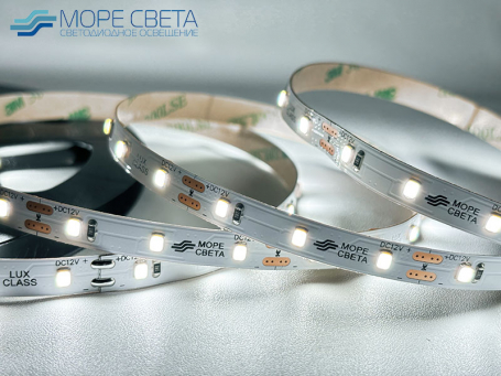 Светодиодная лента Lux SL SMD2835 60LED 4.8W 6000-6500K 12V IP20 Холодная белая