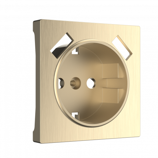 Накладка для USB розетки Werkel W1179510 Шампань рифленый