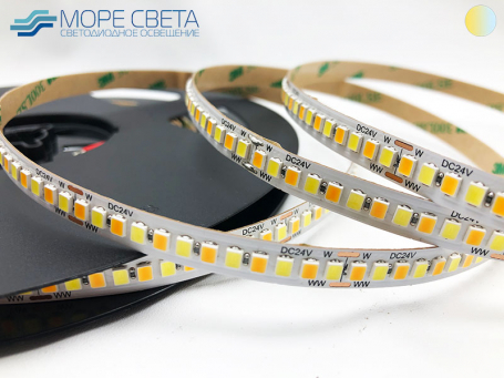 Светодиодная лента Lux SL SMD2835 240LED 19.2W 24V IP20 CCT Биполярная