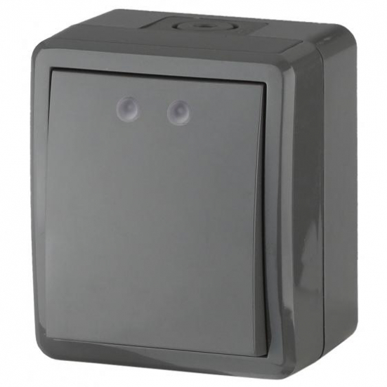 11-1402-03 ЭРА Выключатель с подсветкой IP54, 10АХ-250В, ОУ, Эра Эксперт, серый